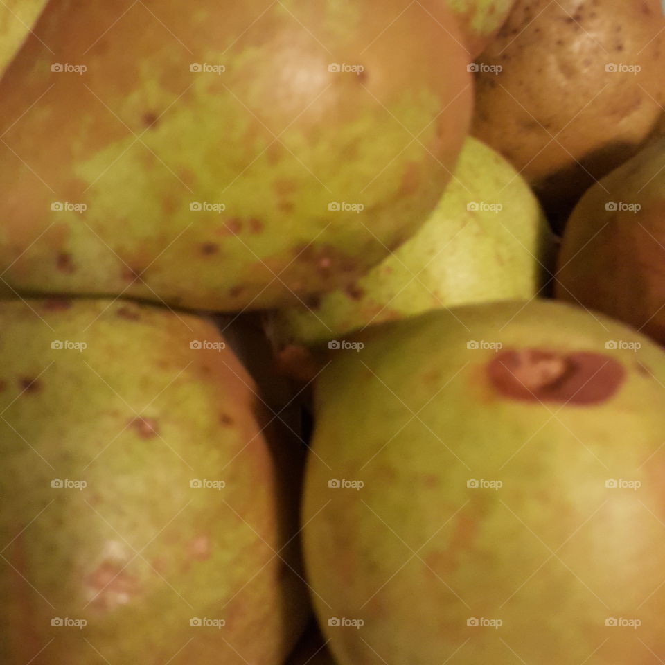pestulent pears