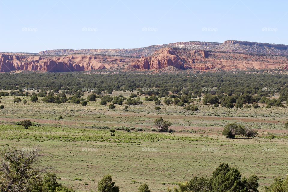 Western New Mexico 3