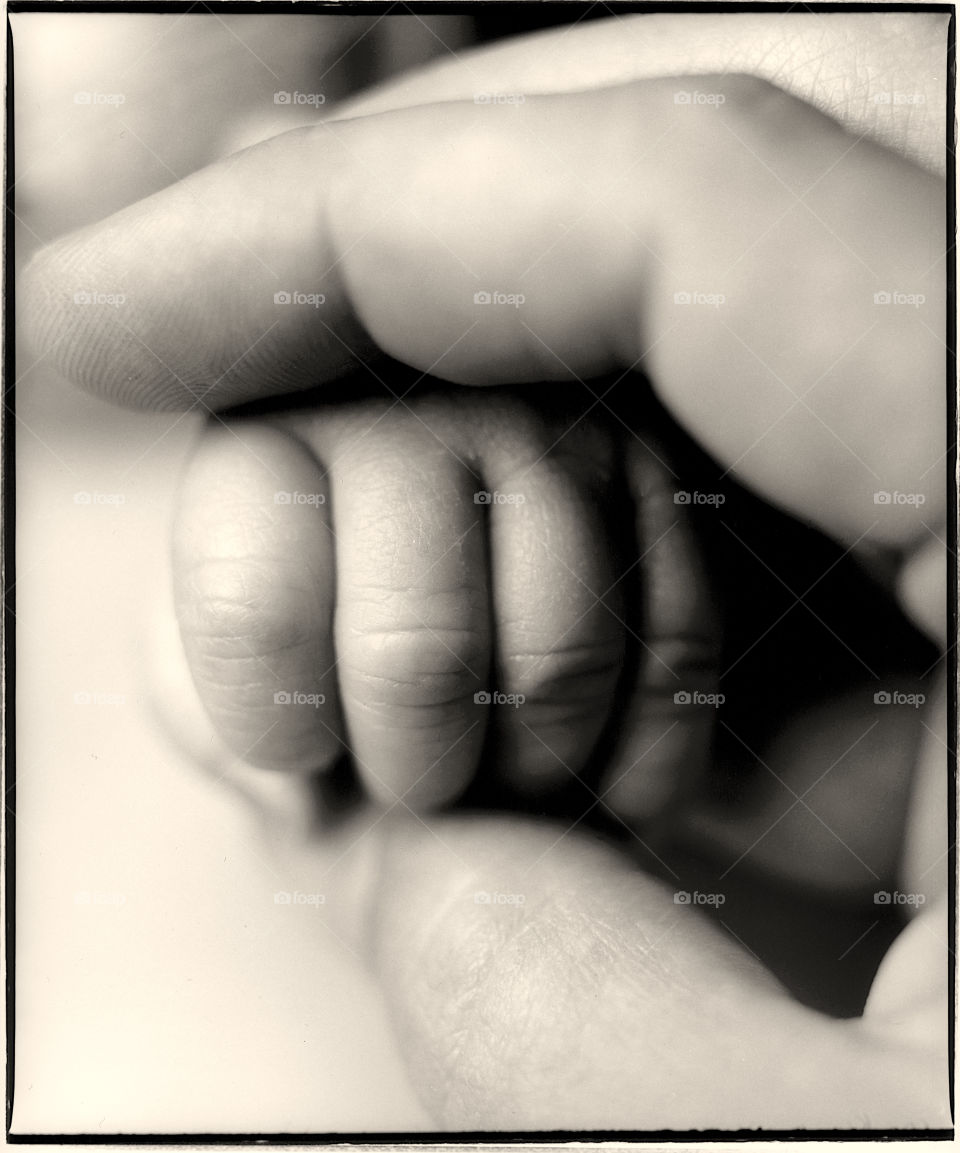 baby hands newborn by jbrinkler