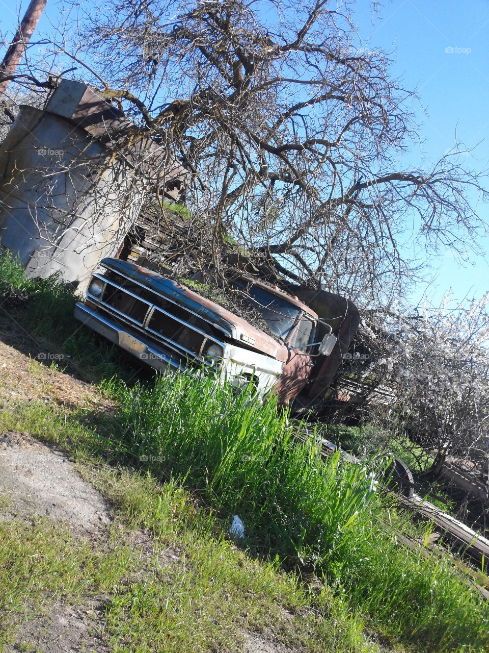 Rusty FORD truck