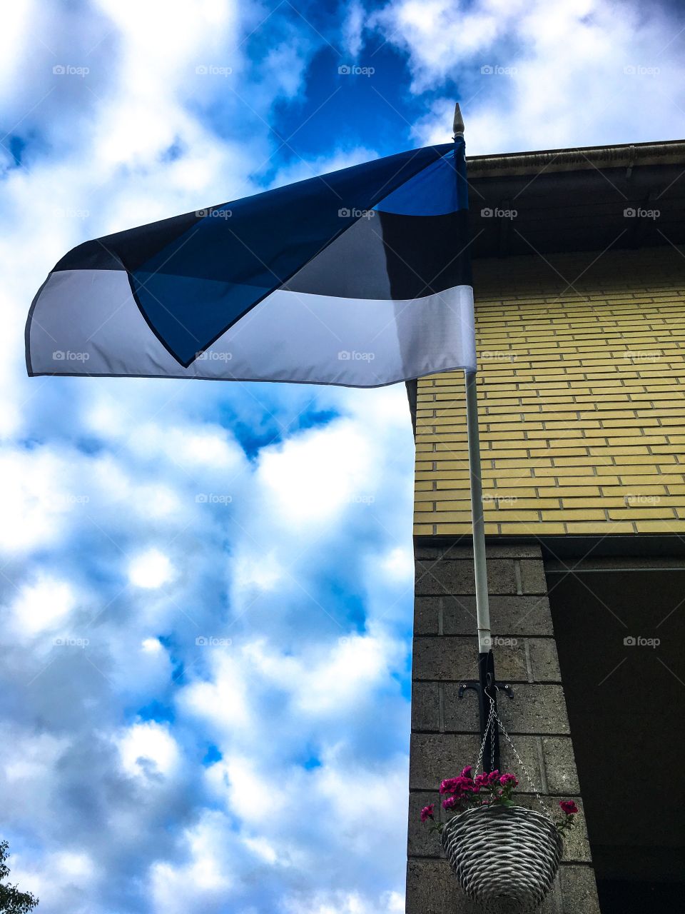 Estonian flag