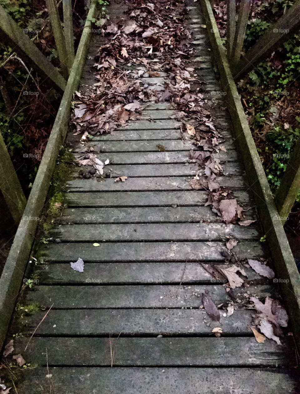 Weathered wooden footbridge strewn with fallen leaves 