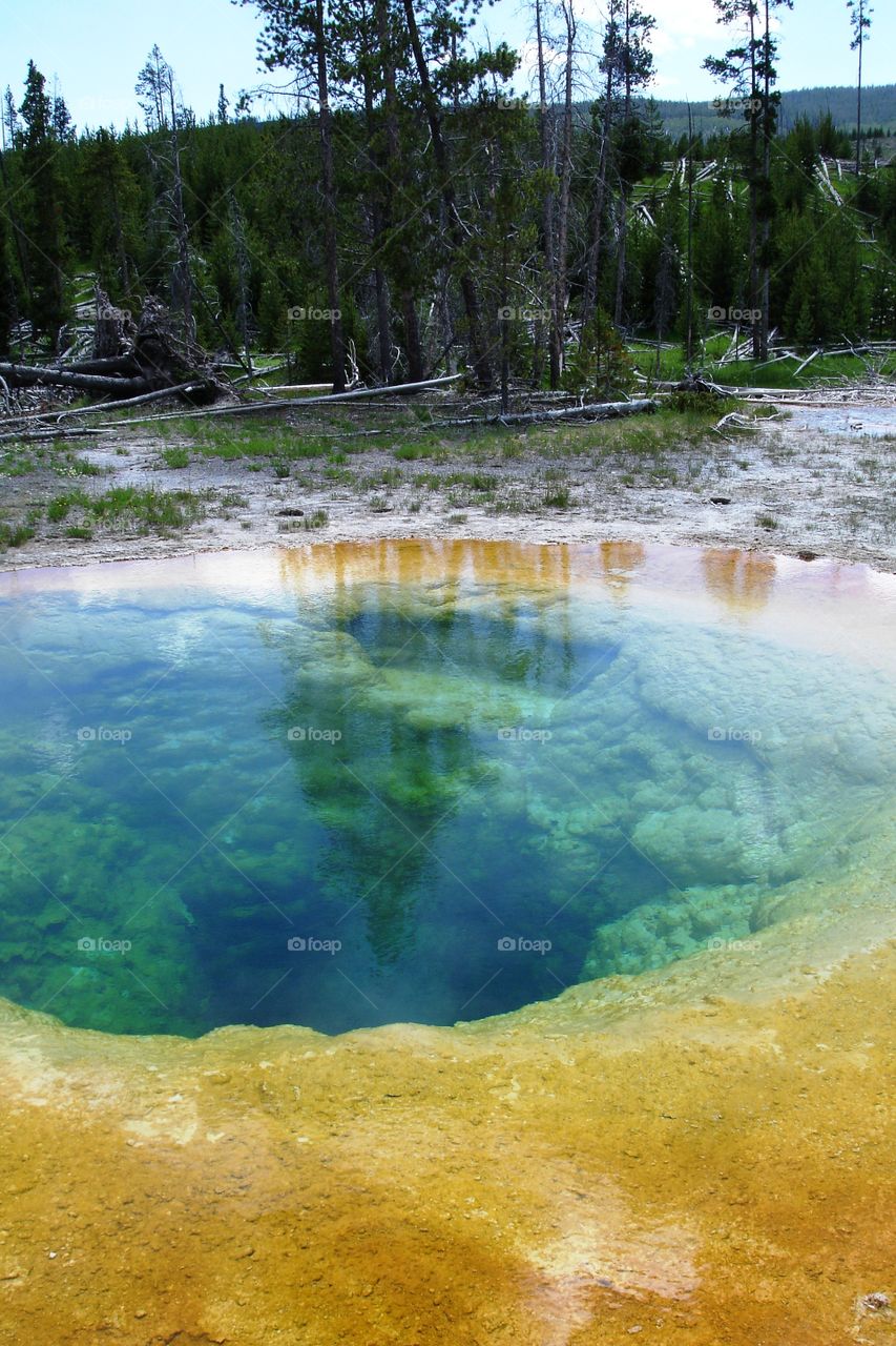 Geothermal hot springs at Yellowstone - morning glory