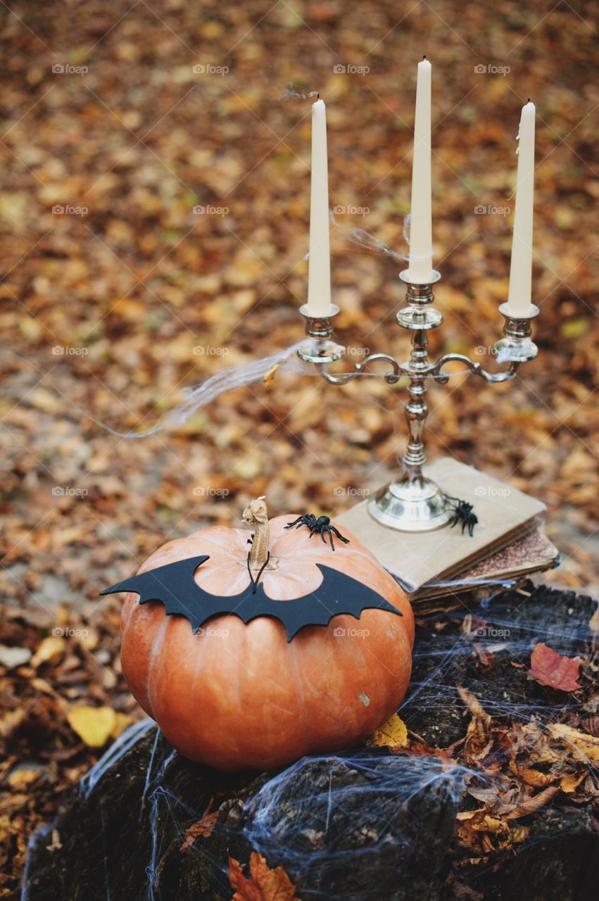 forest, night, holiday, decorations, snacks, fall, orange, black, mystery, Halloween, dark, glowing, candy, flashlight, ginger, fun, cute, fog, gloomy, burning, candle, flame, Jack, face, smile, autumn, symbol, skeleton, dark, above, scary, good, funny, background, lonely, sadness, darkness, magic, event, bat, Ghost, concept, trick, emblem, Phantom, pumpkin face, pumpkin, October, September, werewolf, mage, terrible, grim, supernatural, treat, trick or treat, horrible, wizard, Jack-lantern