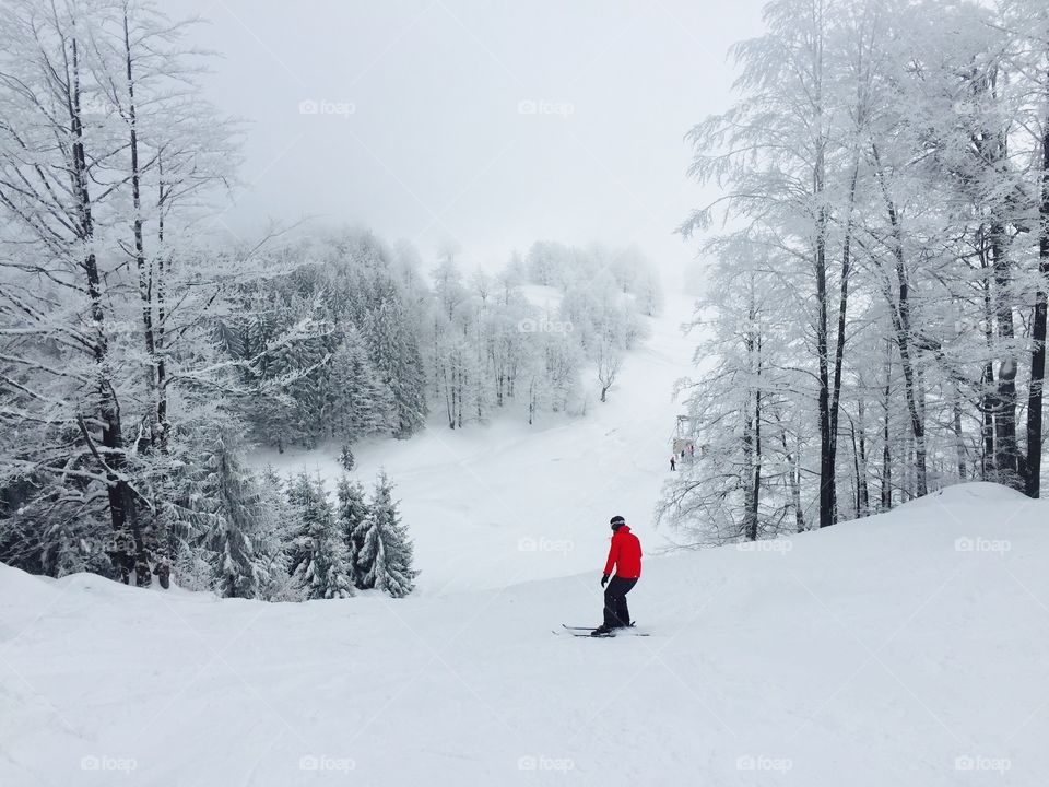 Skier in red ski costume on the ski slope surrounded by snowy forest 
