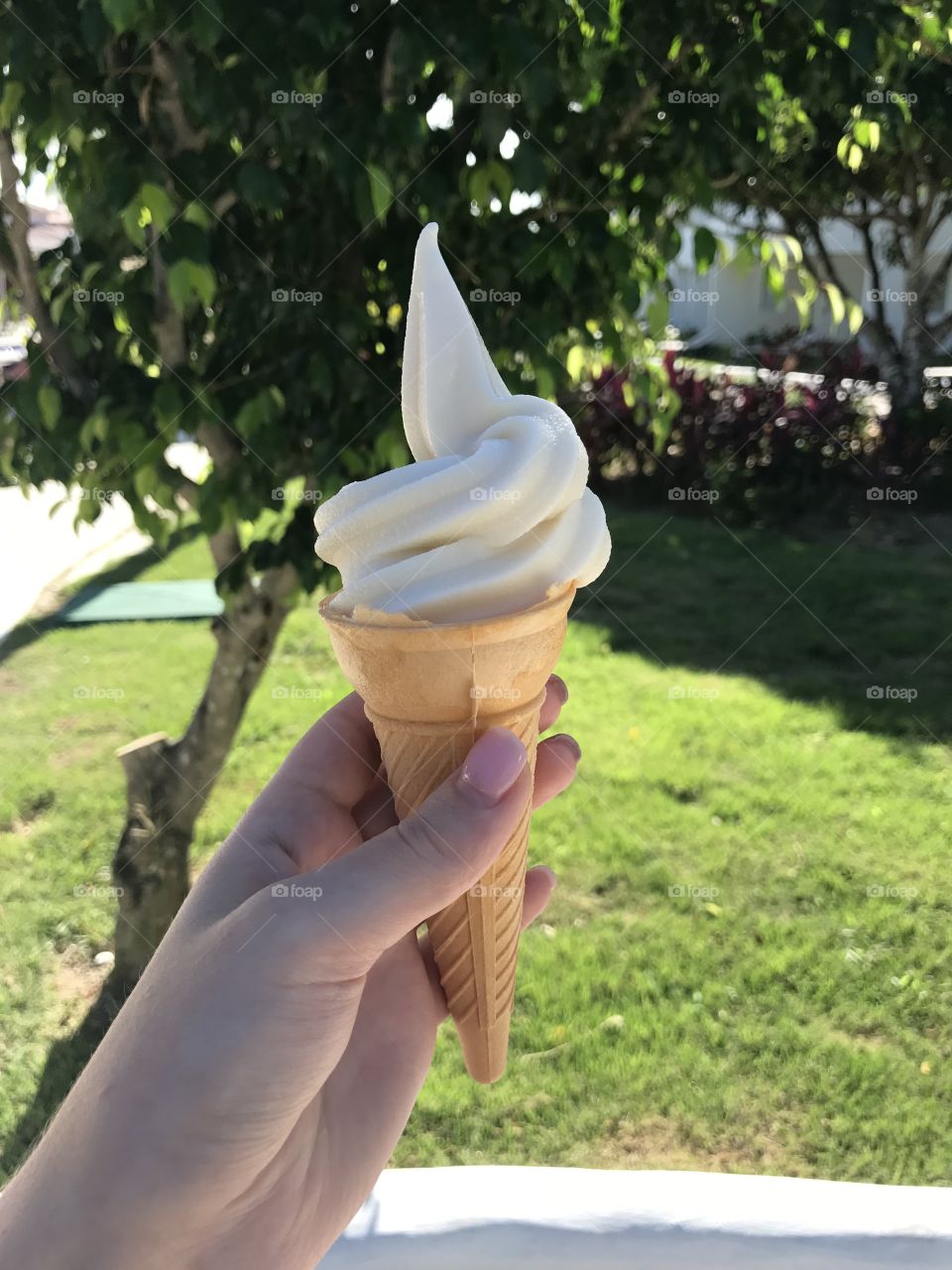 Tasty ice cream. Summer, hot