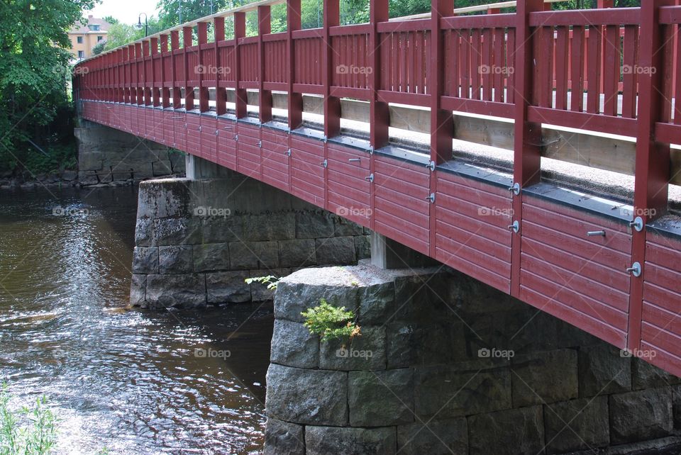 Bridge in urban park