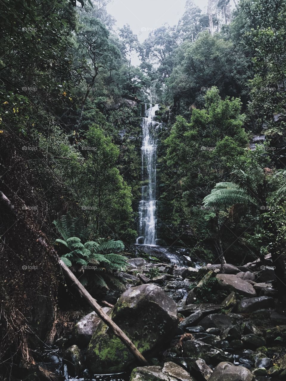 Erskine Falls, Victoria, Australia