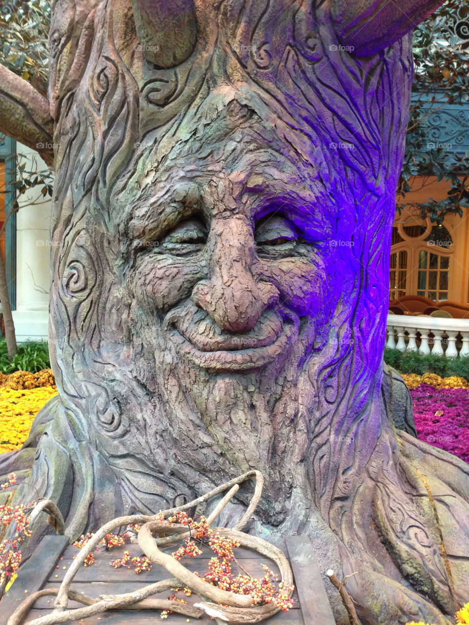 face tree smile by snook911