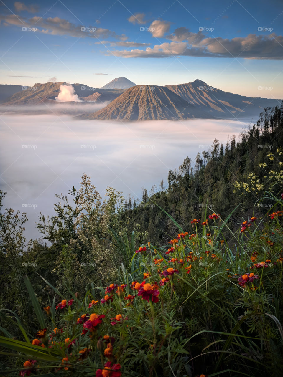 mount bromo