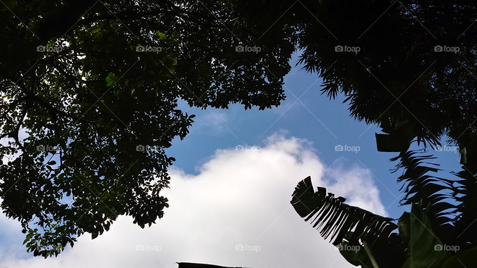 NATURE NATURAL NATURE