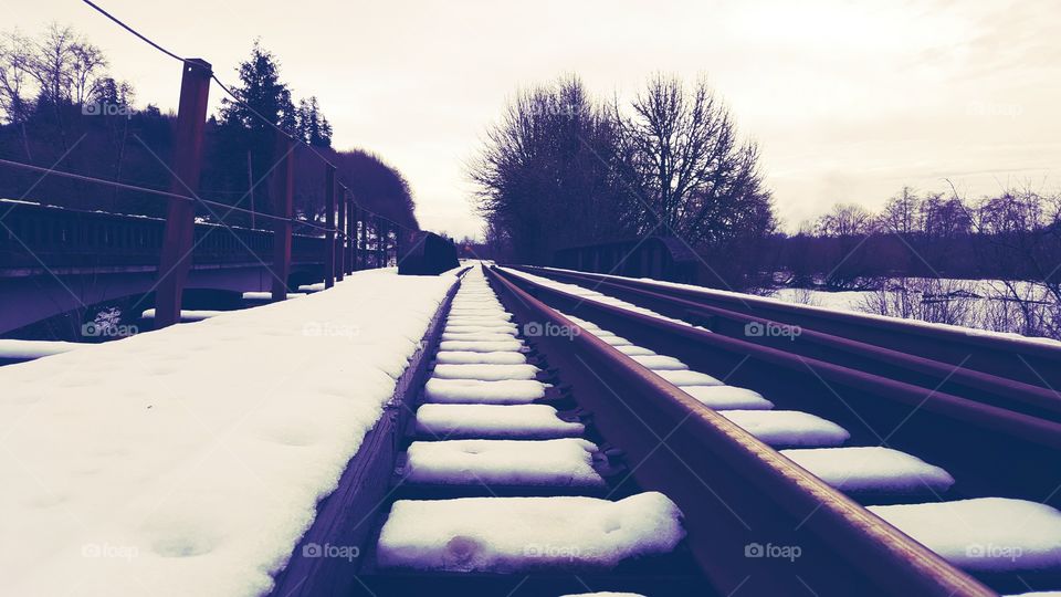 Winter Tracks