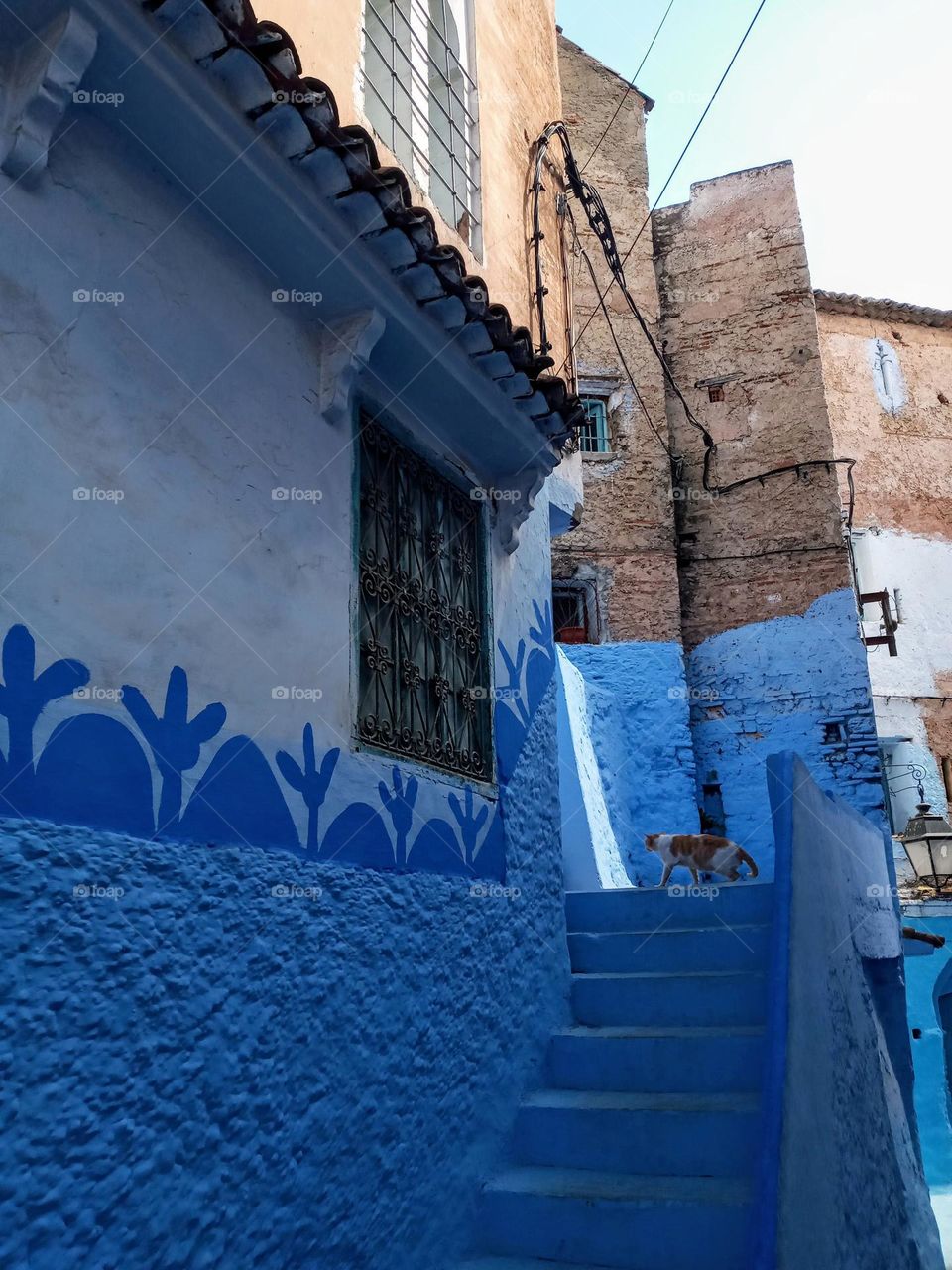 Ancien house's in chefchaouen city of morroco