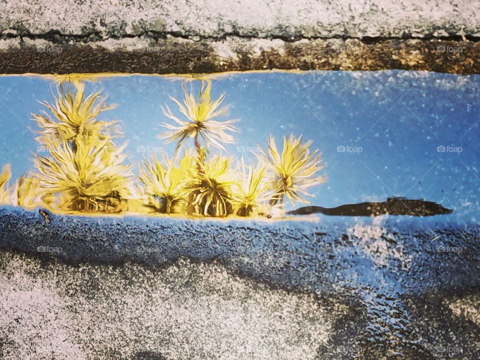 Reflection in paddle