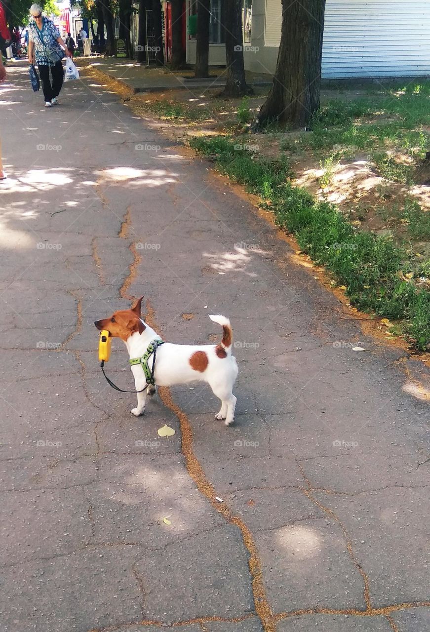 editors Choice photo on the week