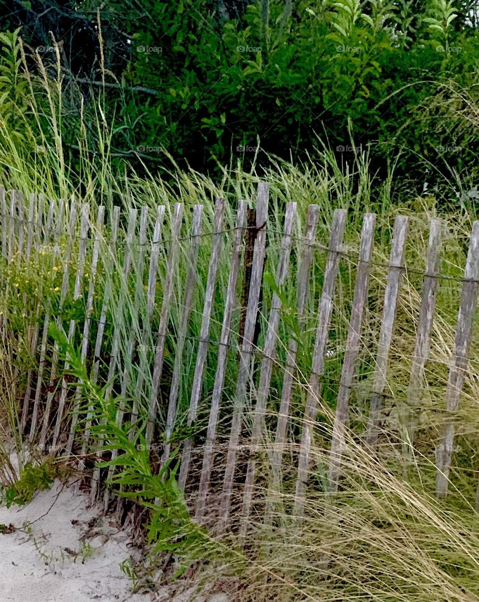 Beach path