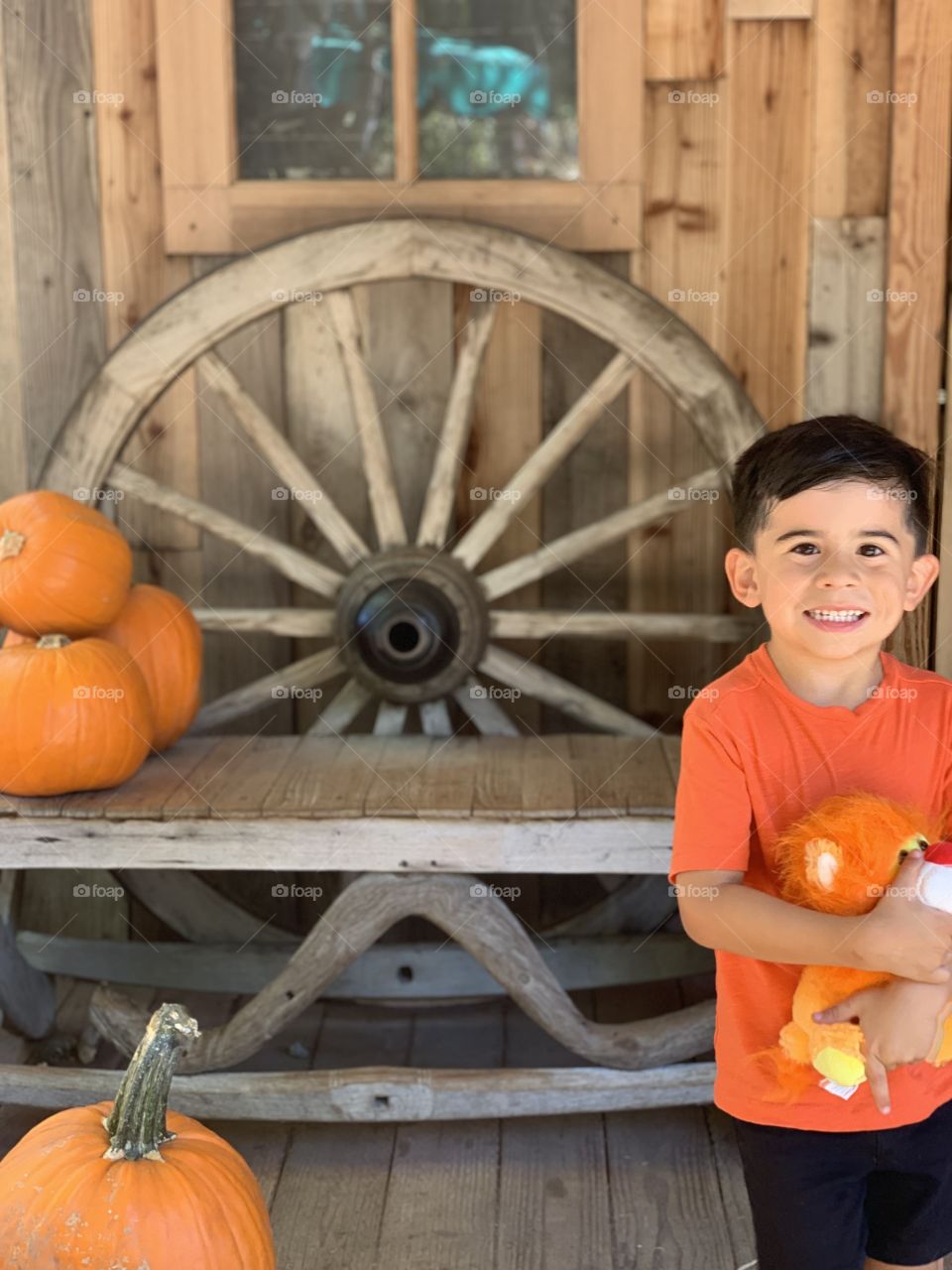 Halloween, Wood, Child, Pumpkin, Fall