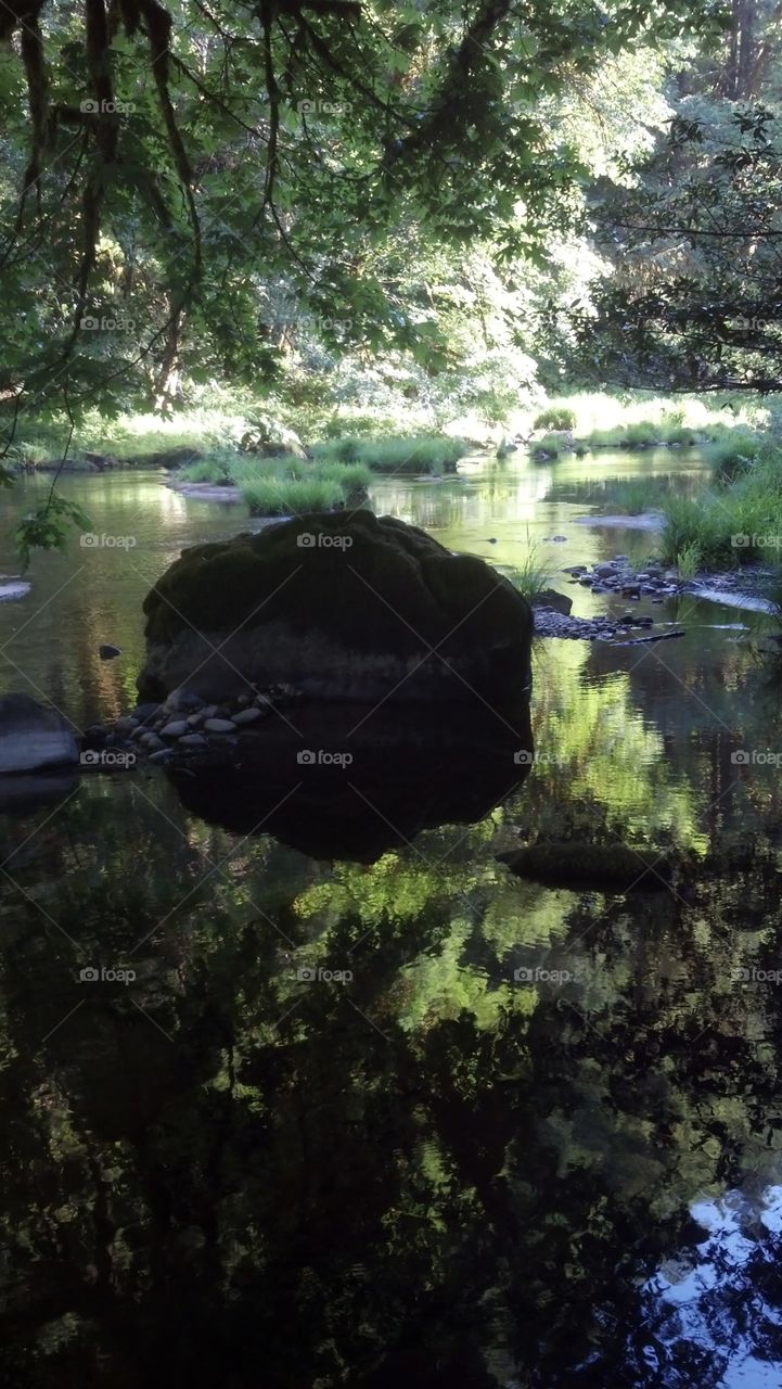 Mill Creek. Reflections On Mill Creek @ Loon Lake