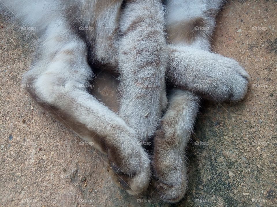 cute leg