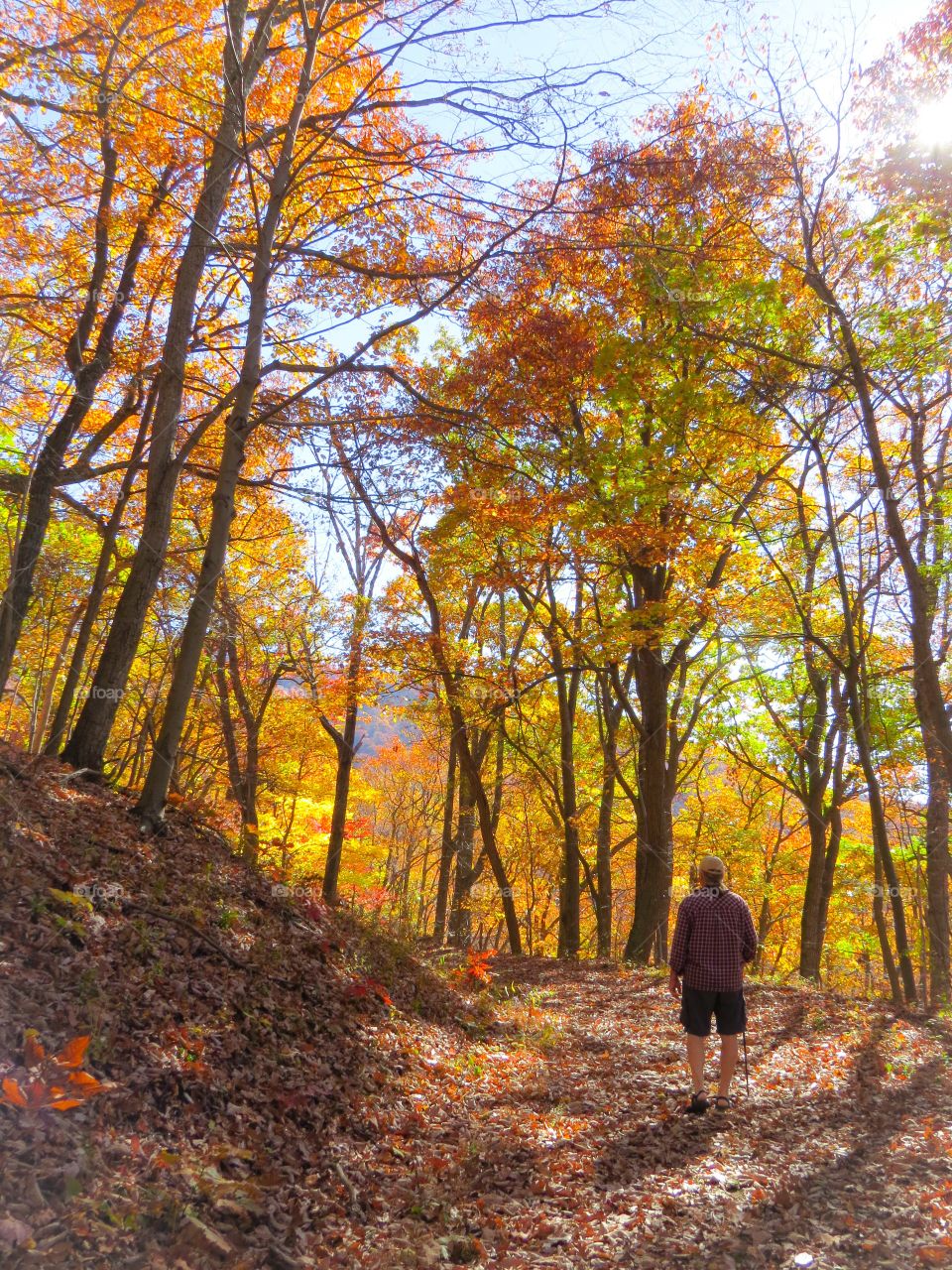 Hiking in Autumn