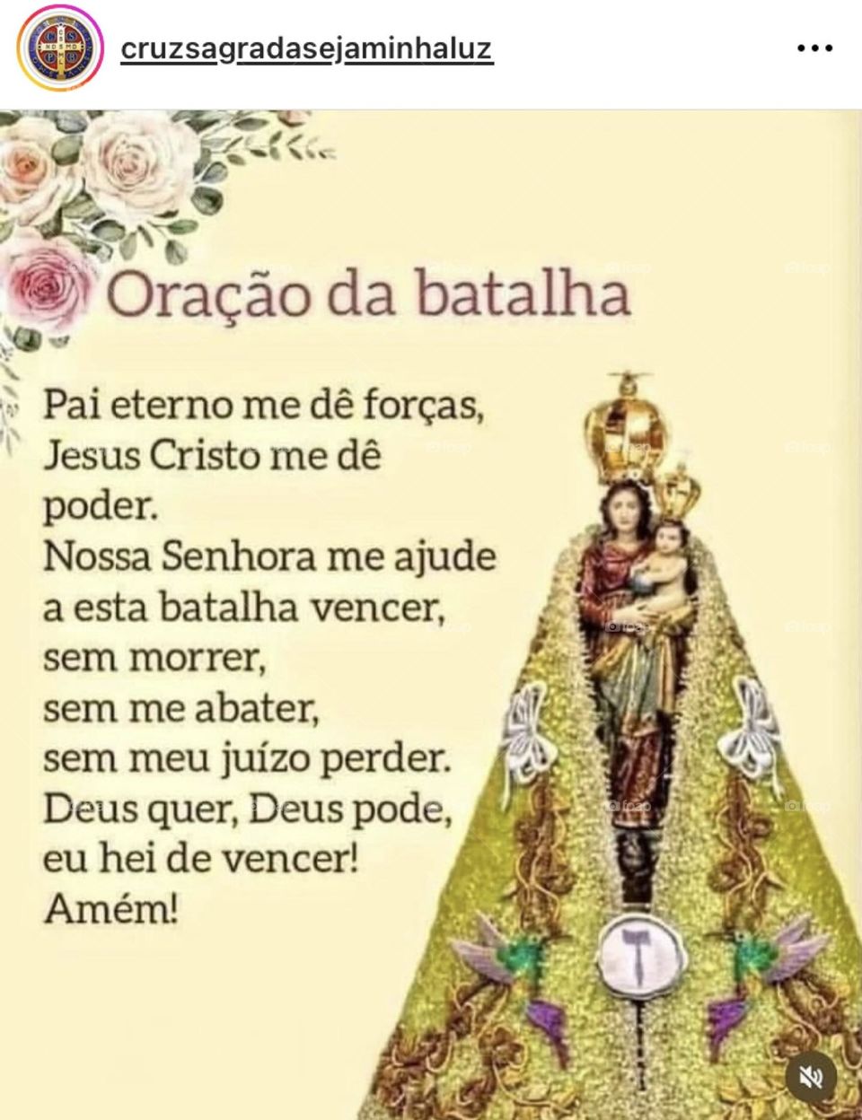 🙏 🇪🇸 Oh Maria, ruega por nosotros que recurrimos a ti.  Amén.  🇧🇷 Ó Maria, Nossa Senhora, rogai por nós que recorremos a vós. Amém. / 🇺🇸 O Mary, pray for us that we turn to you.  Amen. / 🇮🇹 O Madonna, prega per noi che ci rivolgiamo a te. Amen. 