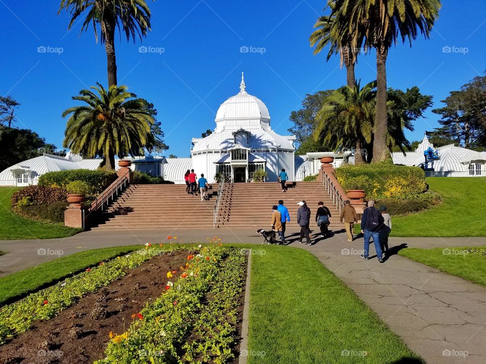 Golden Gate park