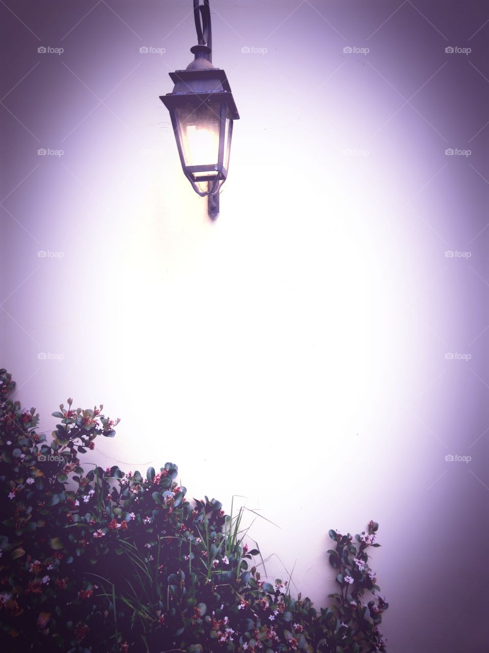 Guide me through the darkest night, our Light oh Christ, the One who shines the brightest of light.