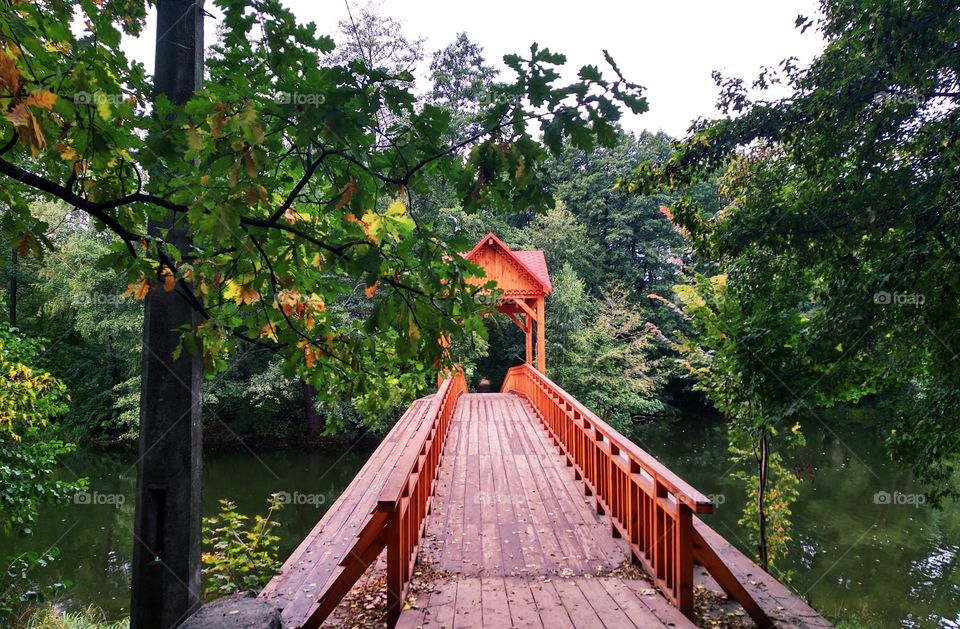 Little wooden bridge