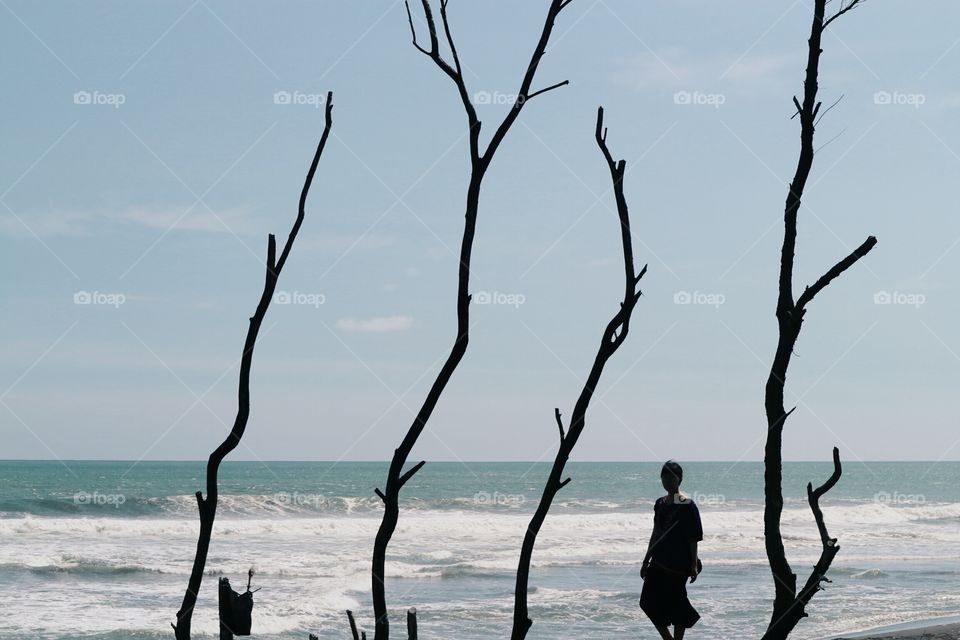 Water, Nature, Sand, No Person, Beach