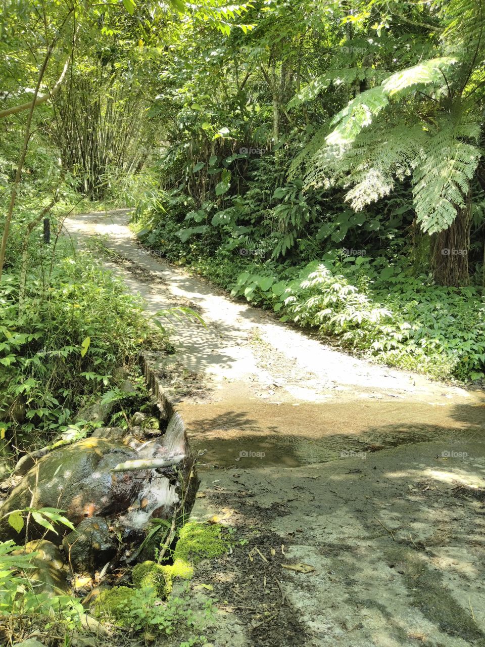 a water  stream in a road😉