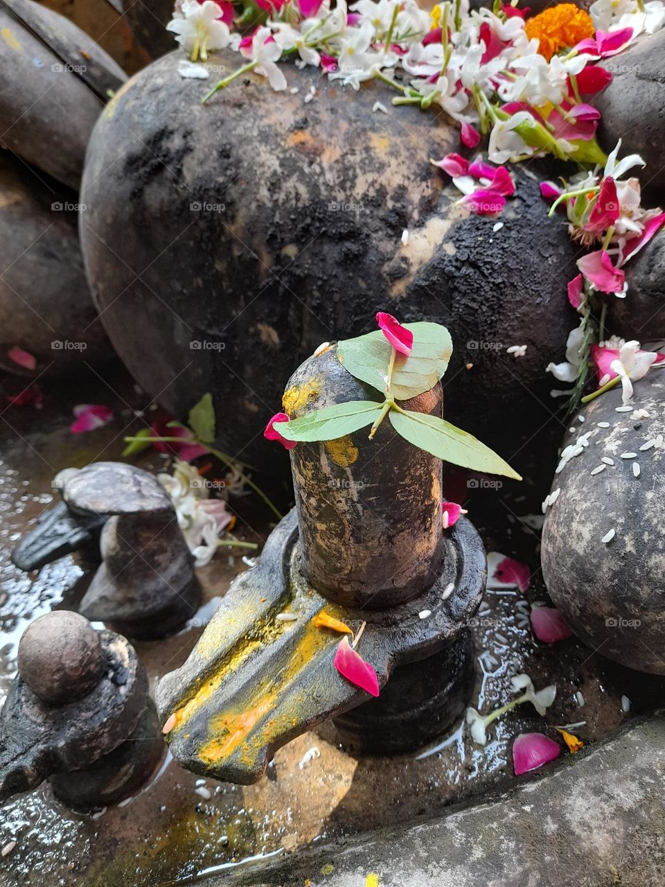 The lord of everything, the lord of universe SHIV....