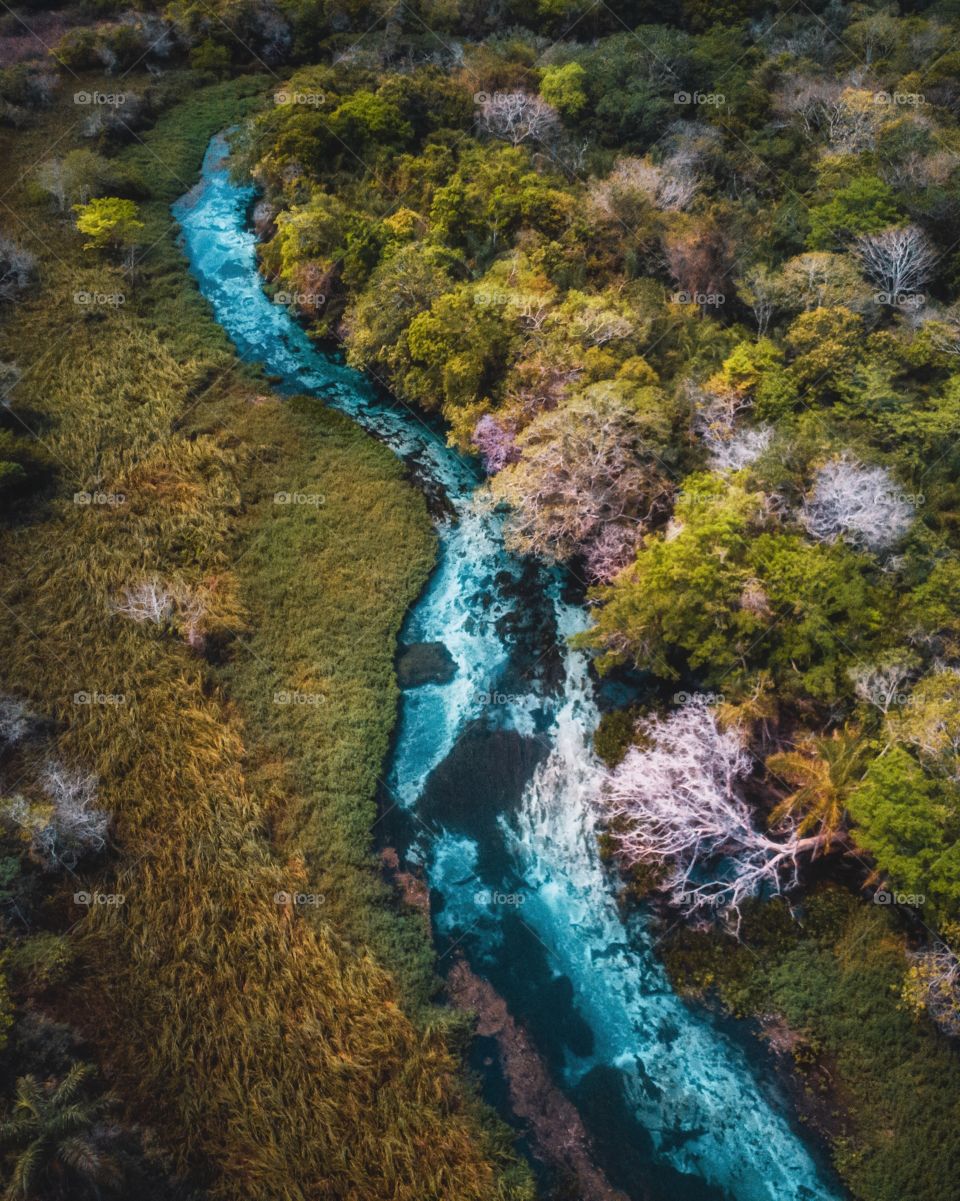 Sucuri River aerial view -  Brazil