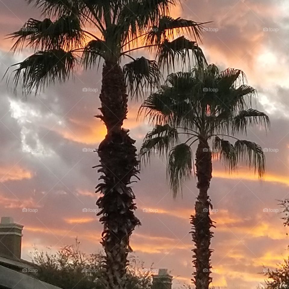 Fire In The Sky! AZSunsets!