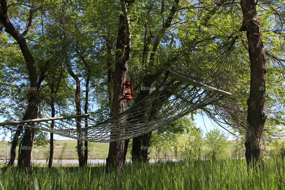 hammock hanging in a tree with the river in the background, and the bright red lantern above.