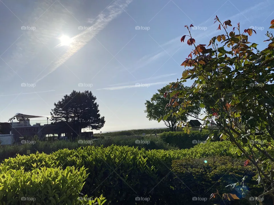 Morgensonne, von Terrasse in die Weite Landschaft mit Bäumen fotografiert 