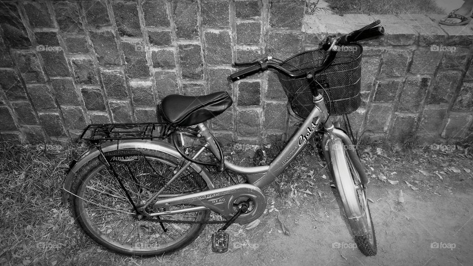 my bike. summer ride on my bicycle