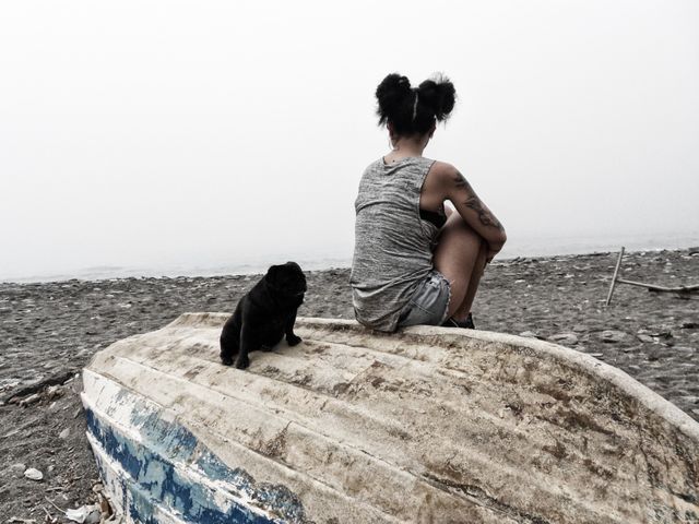 life with pets