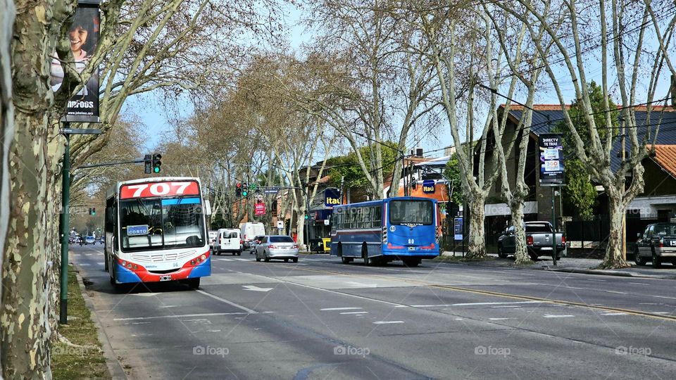 Street view with buses and cars going both ways on a sunny day. One bus is facing the camera, the other not.