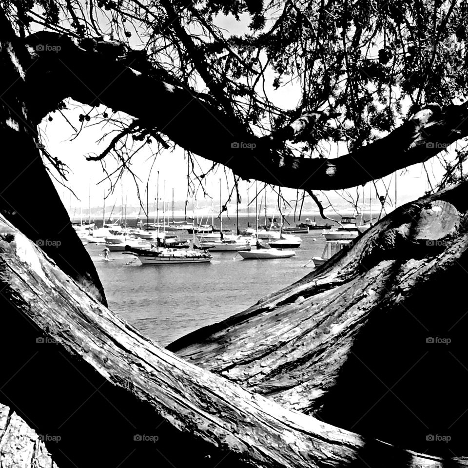 A framed photo of a summer resort - The beauty of black and white - Great black and white photography is all about telling a story, highlighting a subject and expressing emotions, without the distraction of colors