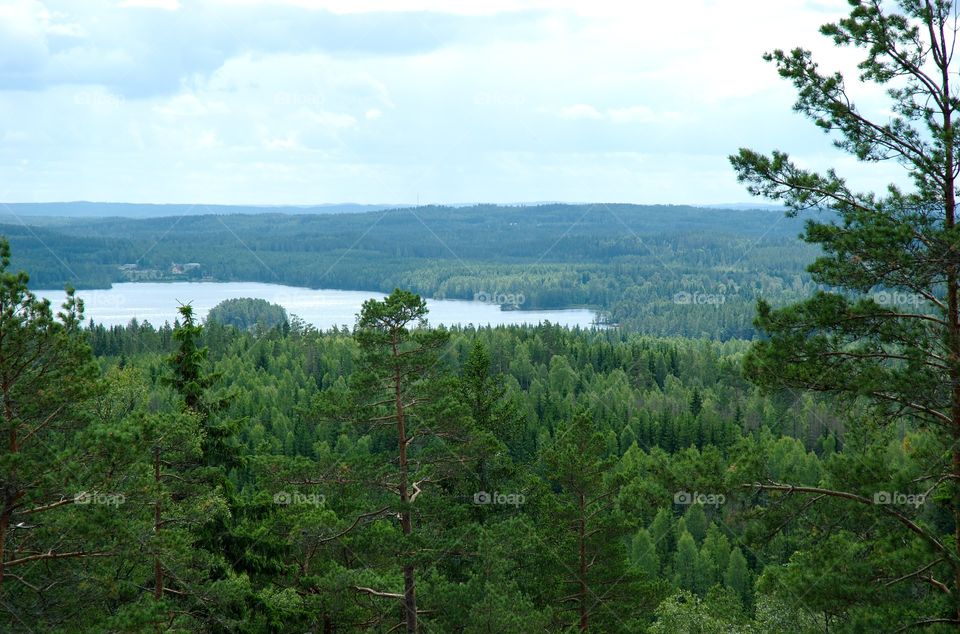 A lake in the forest on the Swedish highland.