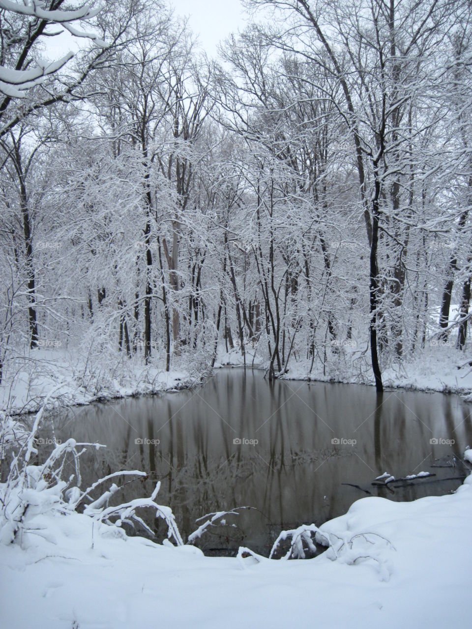 Snowy scene