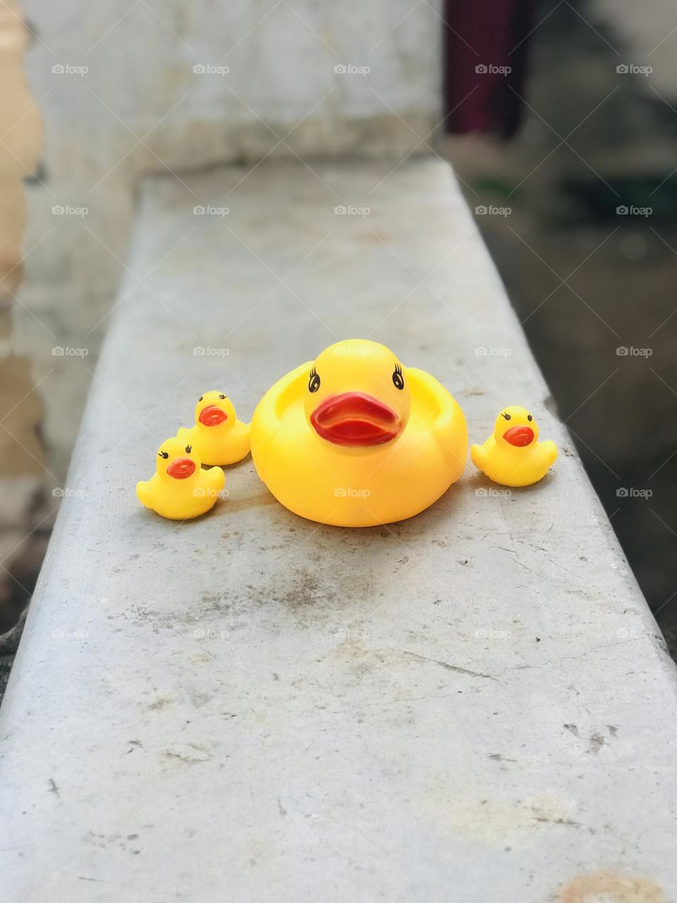 Ducks 🦆