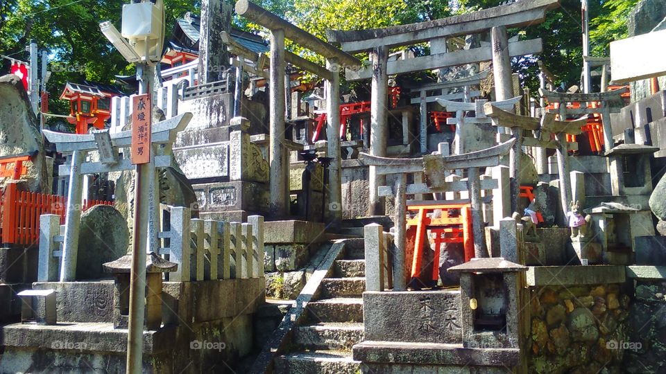 A tangled jungle of small shrines along the path of Kyoto's famous Fushimi Inari Shrine.