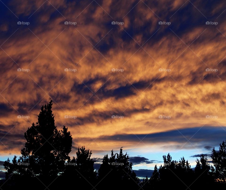 Brilliant red textured clouds against a blue sky over a group of trees below as the sun sets in Central Oregon winter evening. 