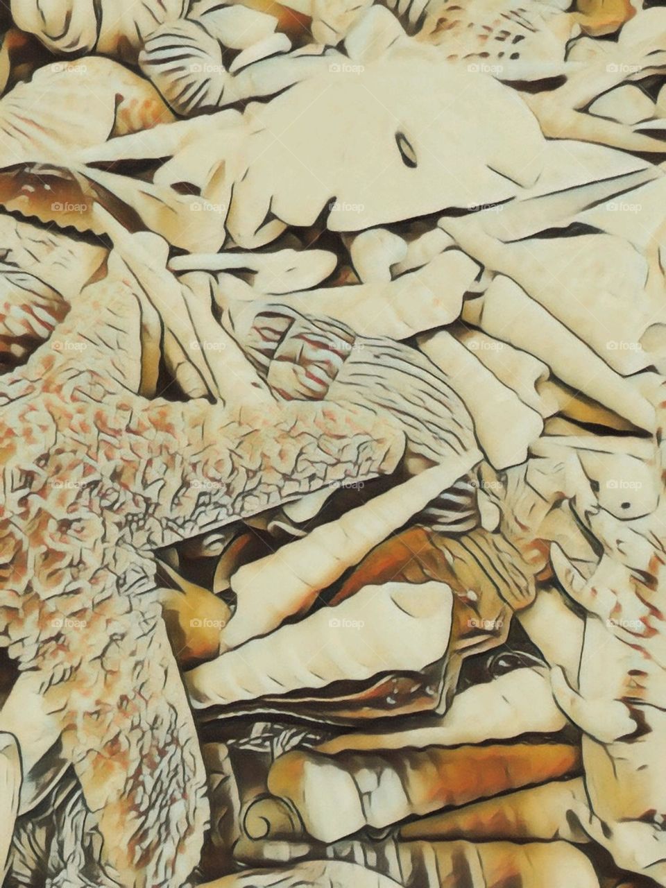 Pen and Wash Seashell Art