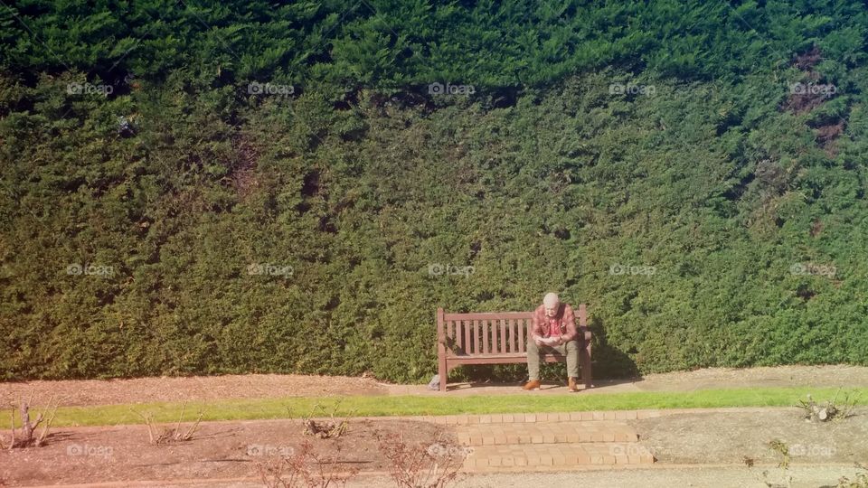 talking a walk in the park