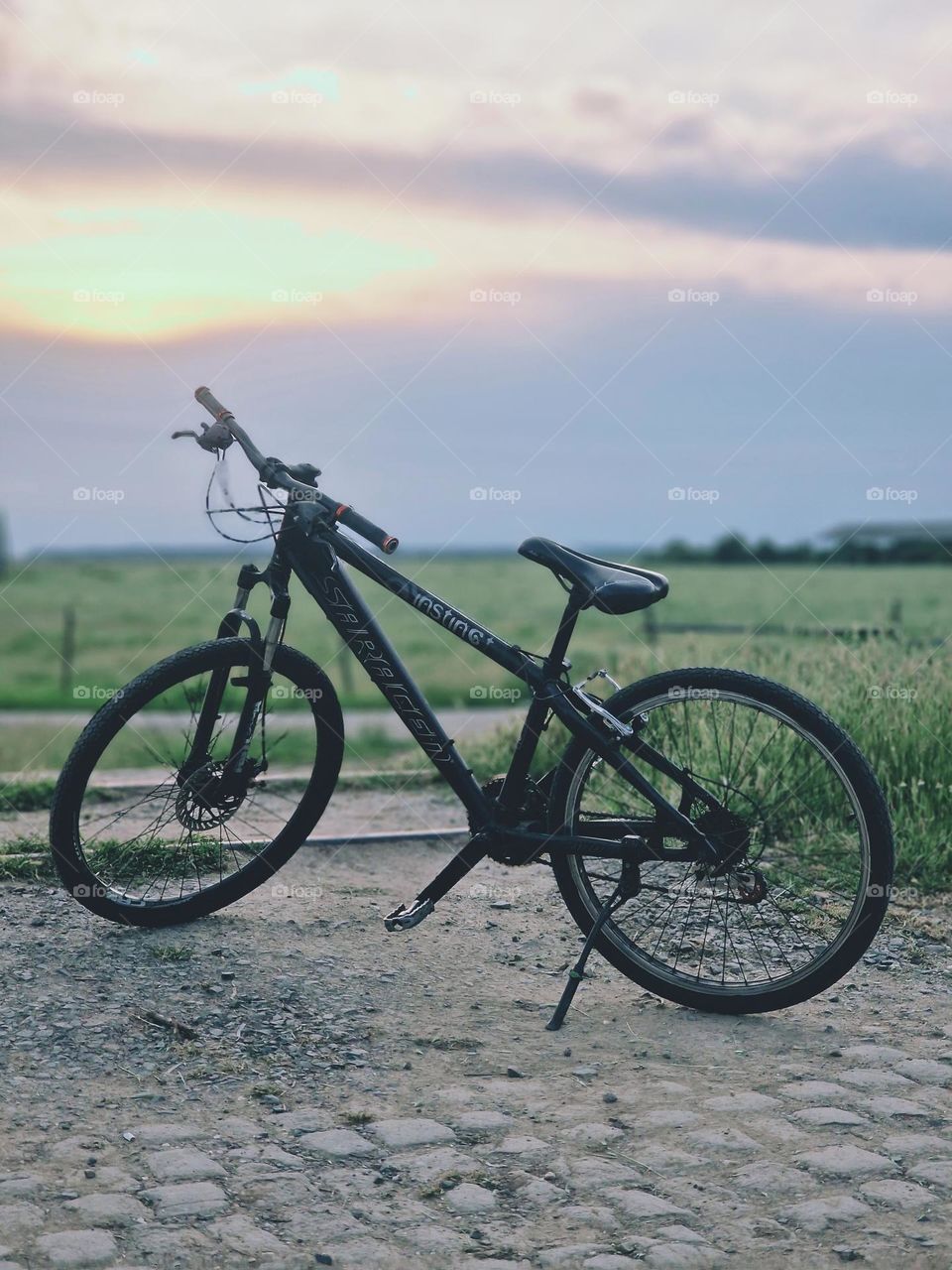 lonely bicycle