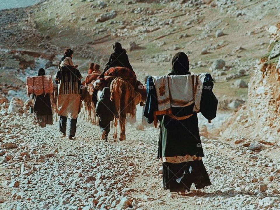 Tribal migration: a hardworking and suffering ethnic group that earns a source of income, expenses and living expenses through livestock and agriculture, and in the summer, due to the lack of fodder and warming, they migrate to a pleasant and green a