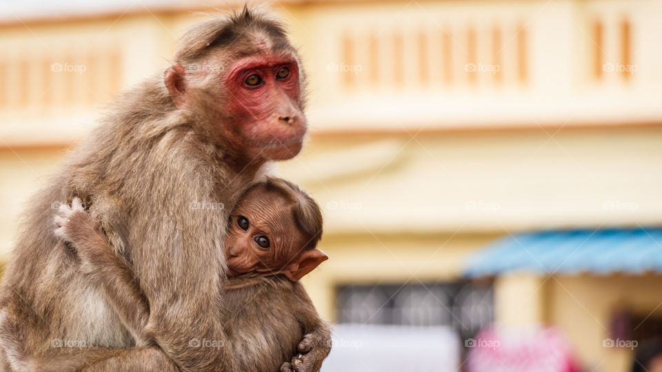 Mother and Child