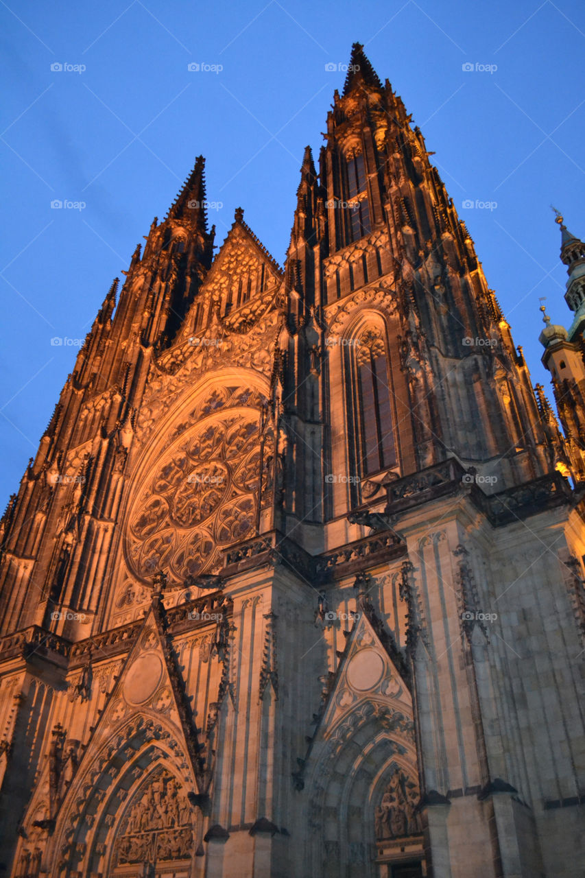 Cathedral of Prague 
